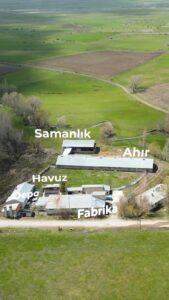 "Erzurum’da satılık geniş çiftlik kompleksi; yüzme havuzu, meyve ağaçlarıyla çevrili bahçe, modern ahır, sanayi tipi fabrika binası ve verimli sulak tarlalar."